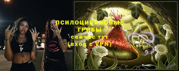 дурь Протвино